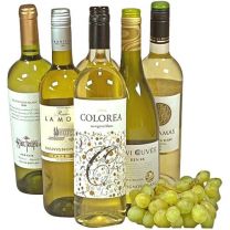 Wijnpakket Wereldse Sauvignon Blanc 6x75cl