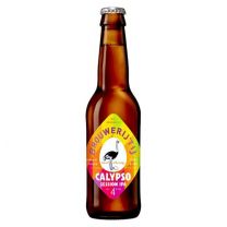 Brouwerij 't IJ Calypso fles 33cl