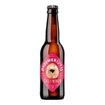Brouwerij 't IJ Columbus fles 33cl