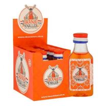 Oranje Knaller Shot Doos 10x2cl