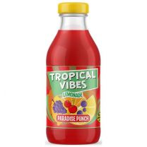 Tropical Vibes Paradise Punch fles tray 15x30cl