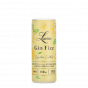 Lavish Gin Fizz blik